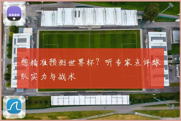 想精准预测世界杯？听专家点评球队实力与战术